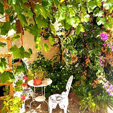 Casa de Férias Casa Shyshka Country *